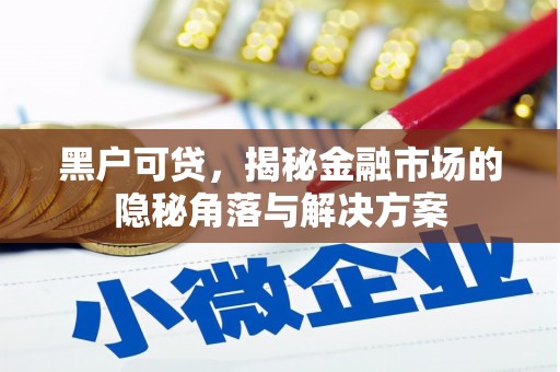 新都黑户可贷，揭秘金融市场的隐秘角落与解决方案
