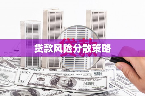新都贷款风险分散策略