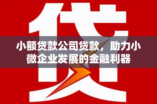 新都小额贷款公司贷款，助力小微企业发展的金融利器