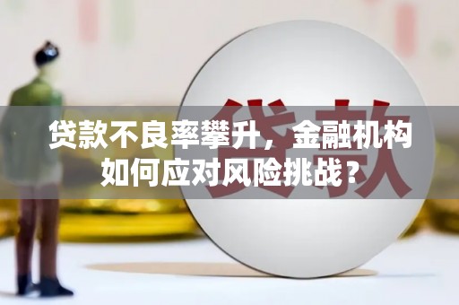 新都贷款不良率攀升，金融机构如何应对风险挑战？