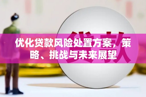 新都优化贷款风险处置方案，策略、挑战与未来展望