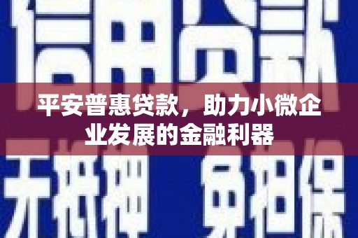 新都平安普惠贷款，助力小微企业发展的金融利器