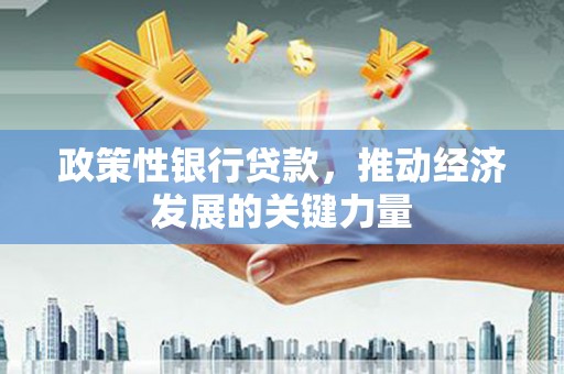 新都政策性银行贷款，推动经济发展的关键力量