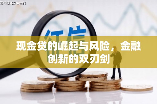 新都现金贷的崛起与风险，金融创新的双刃剑