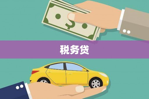 新都税务贷