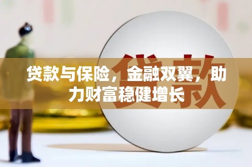 新都贷款与保险，金融双翼，助力财富稳健增长