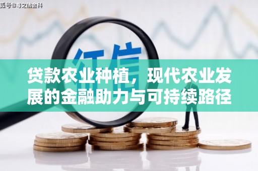 新都贷款农业种植，现代农业发展的金融助力与可持续路径