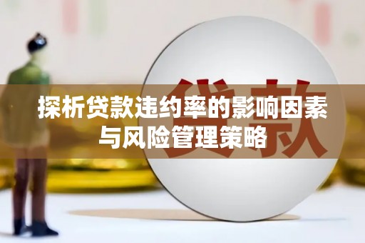 新都探析贷款违约率的影响因素与风险管理策略