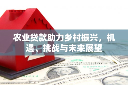 新都农业贷款助力乡村振兴，机遇、挑战与未来展望