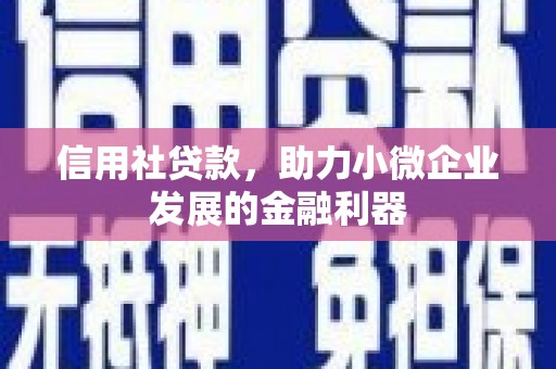 新都信用社贷款，助力小微企业发展的金融利器
