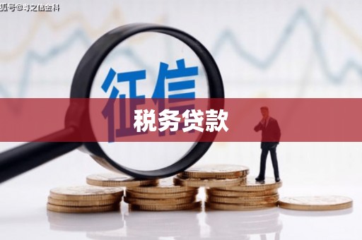 新都税务贷款