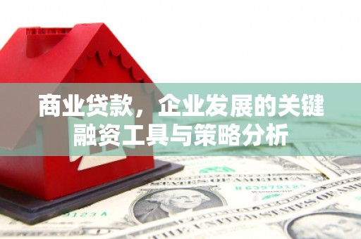 新都商业贷款，企业发展的关键融资工具与策略分析