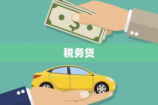 新都税务贷