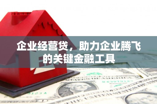 新都企业经营贷，助力企业腾飞的关键金融工具