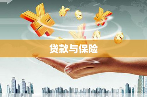 新都贷款与保险