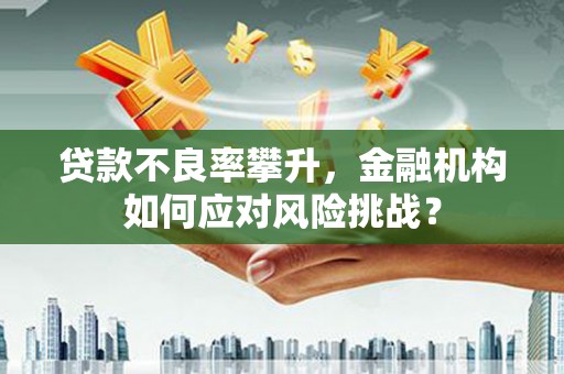 新都贷款不良率攀升，金融机构如何应对风险挑战？