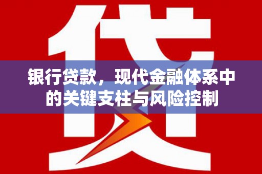 新都银行贷款，现代金融体系中的关键支柱与风险控制