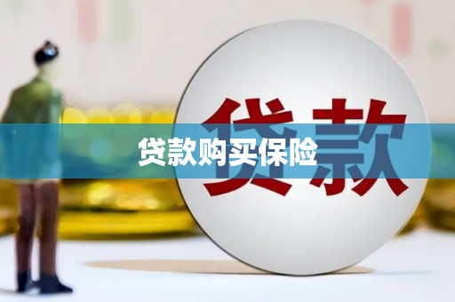 新都贷款购买保险