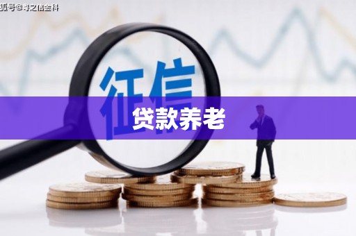 新都贷款养老