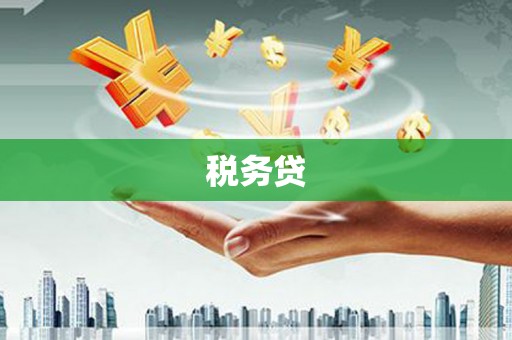 新都税务贷