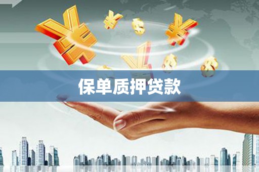 新都保单质押贷款