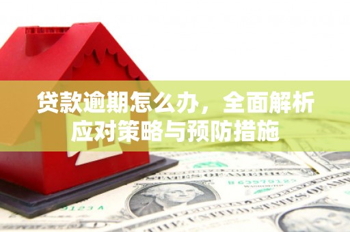 新都贷款逾期怎么办，全面解析应对策略与预防措施