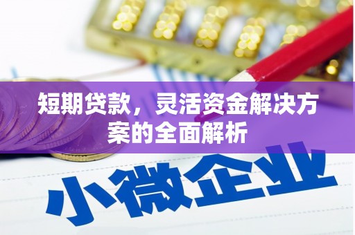 新都短期贷款，灵活资金解决方案的全面解析