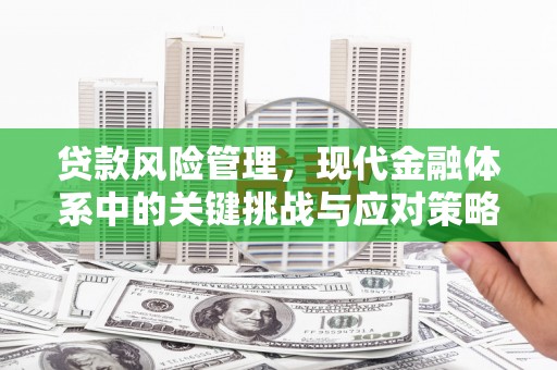 新都贷款风险管理，现代金融体系中的关键挑战与应对策略