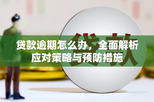 新都贷款逾期怎么办，全面解析应对策略与预防措施