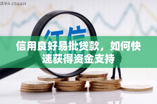 新都信用良好易批贷款，如何快速获得资金支持