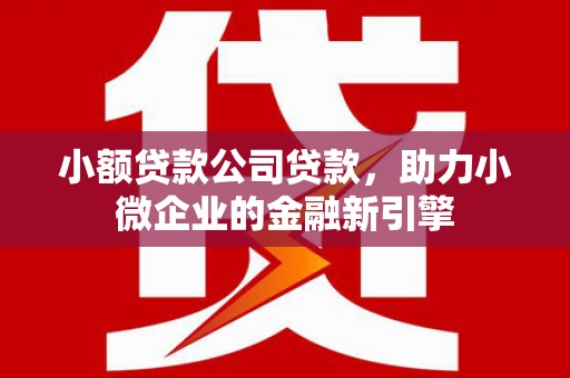 新都小额贷款公司贷款，助力小微企业的金融新引擎