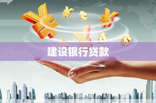 新都建设银行贷款