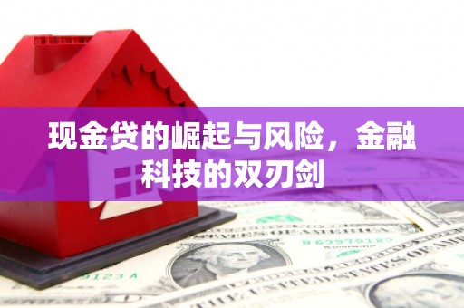 新都现金贷的崛起与风险，金融科技的双刃剑