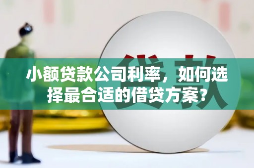新都小额贷款公司利率，如何选择最合适的借贷方案？