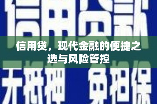 新都信用贷，现代金融的便捷之选与风险管控