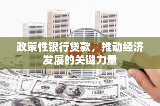 新都政策性银行贷款，推动经济发展的关键力量