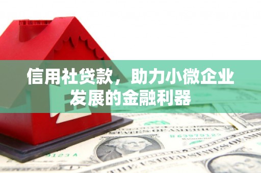 新都信用社贷款，助力小微企业发展的金融利器