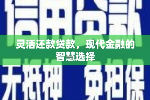 新都灵活还款贷款，现代金融的智慧选择