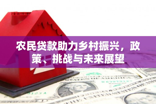新都农民贷款助力乡村振兴，政策、挑战与未来展望
