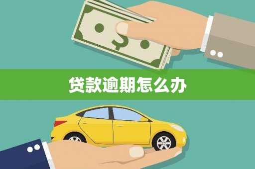 新都贷款逾期怎么办