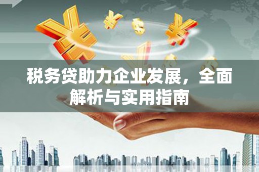 新都税务贷助力企业发展，全面解析与实用指南