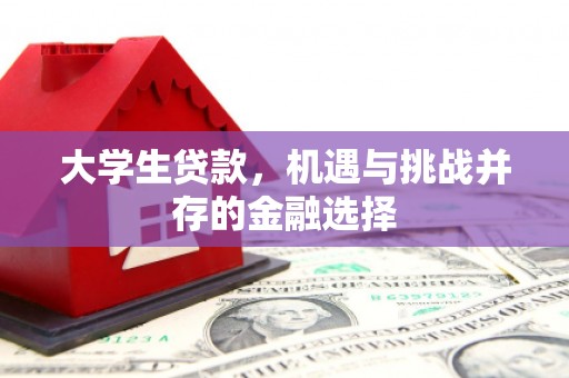新都大学生贷款，机遇与挑战并存的金融选择