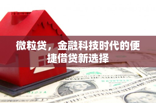 新都微粒贷，金融科技时代的便捷借贷新选择