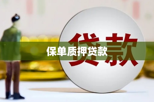 新都保单质押贷款