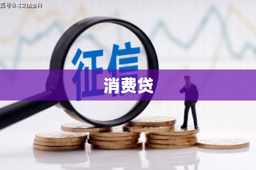 新都消费贷