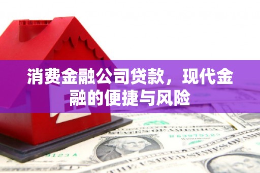 新都消费金融公司贷款，现代金融的便捷与风险