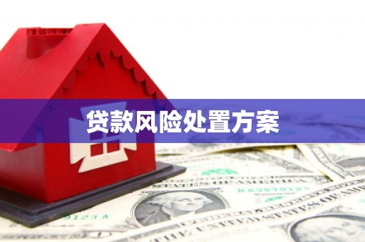 新都贷款风险处置方案