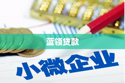 新都蓝领贷款
