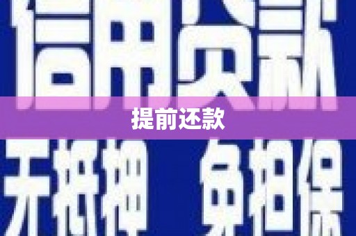 新都提前还款