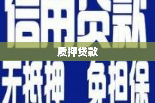 新都质押贷款
